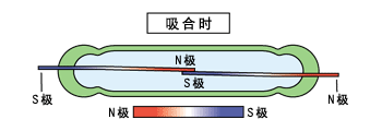 吸合时